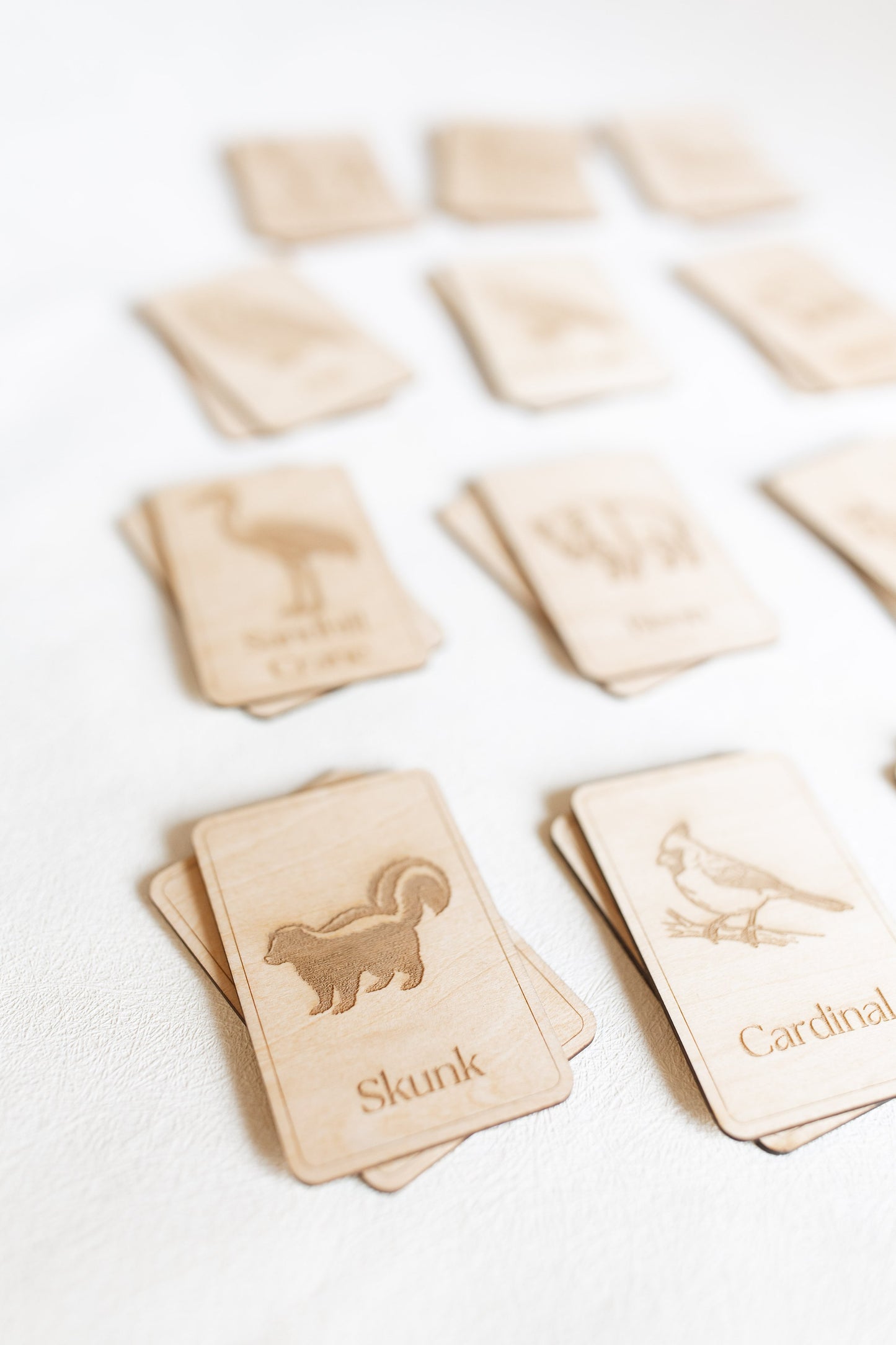 Midwest Wildlife Matching Game Card Set (24 Pieces) — photo 12