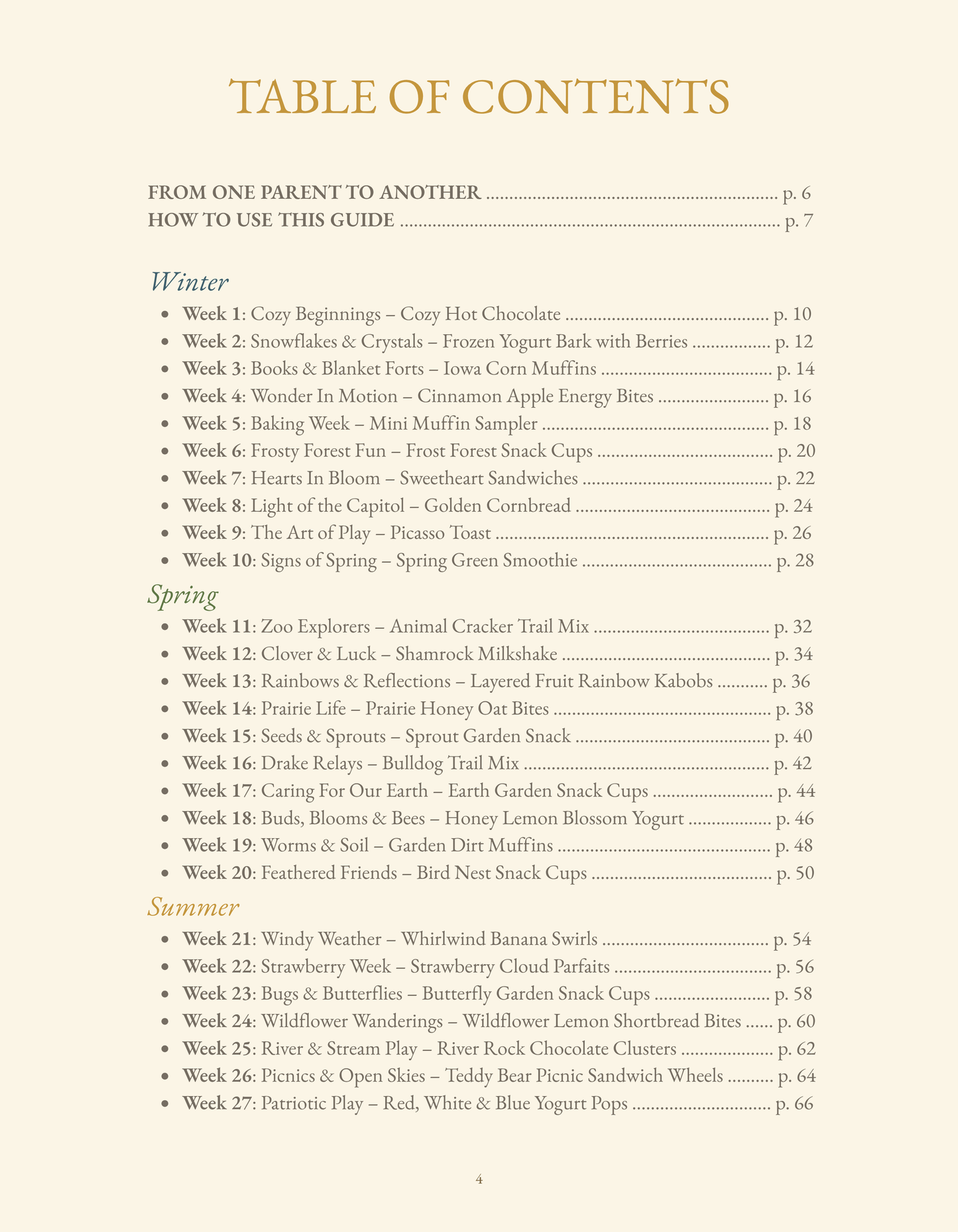 Des Moines Family Edition Digital Download