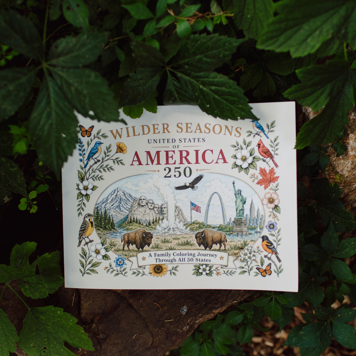 USA Edition Coloring Book
