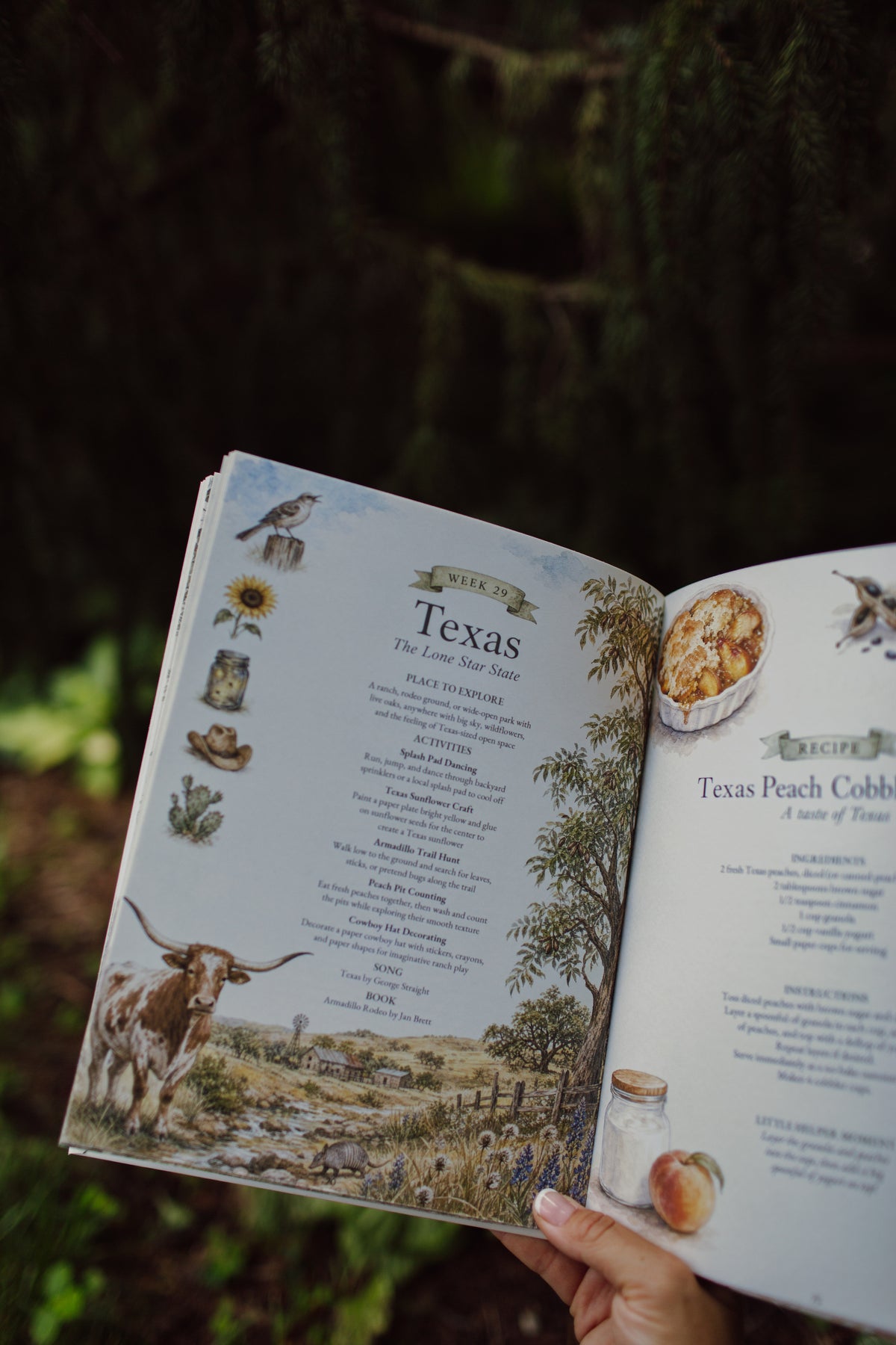 USA Book & Coloring Book Bundle