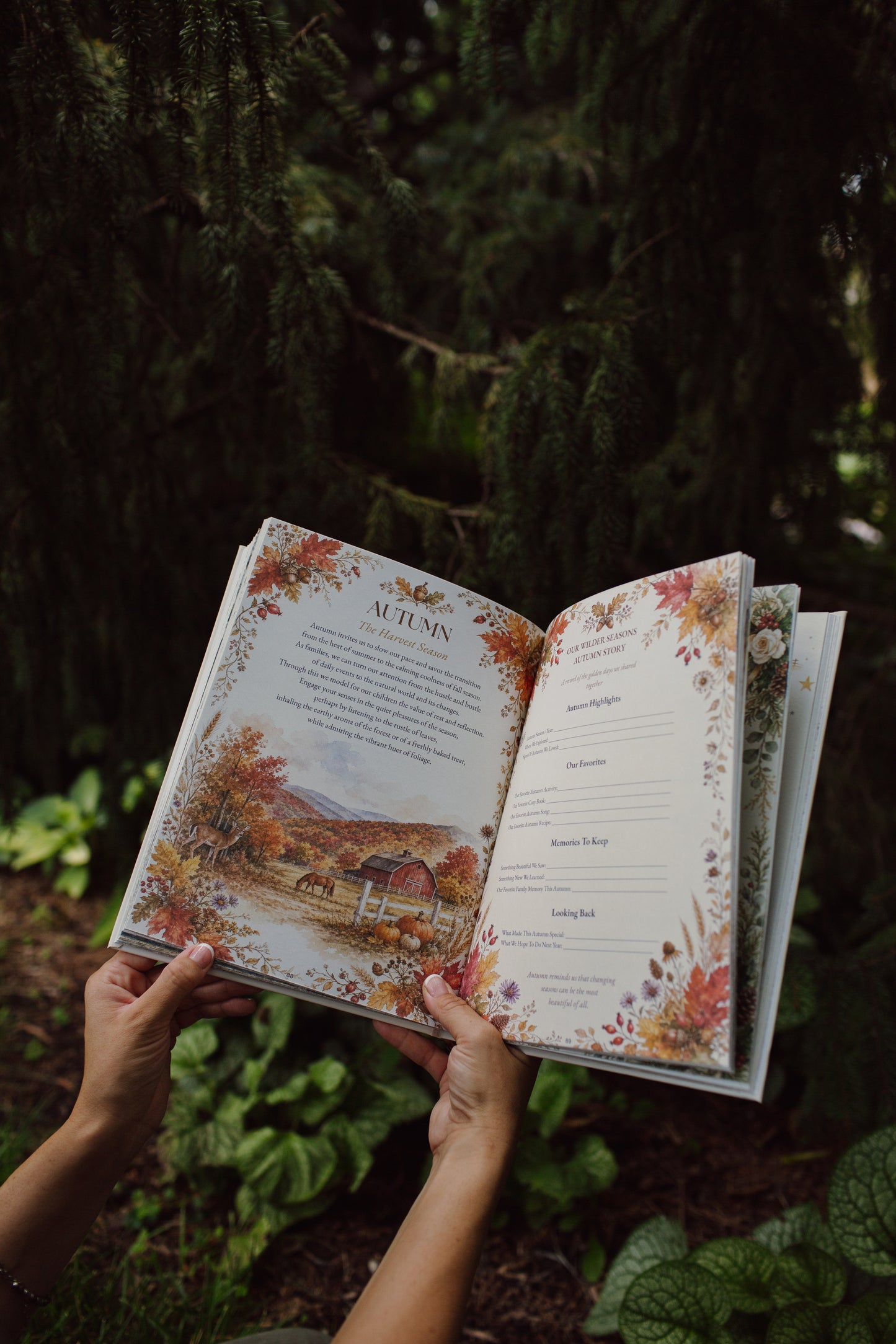 USA Book & Coloring Book Bundle