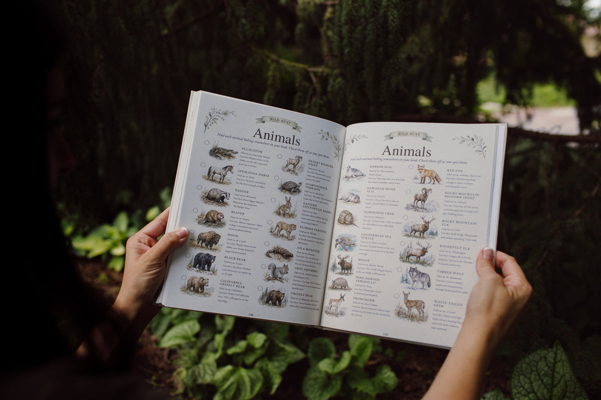 USA Book & Coloring Book Bundle