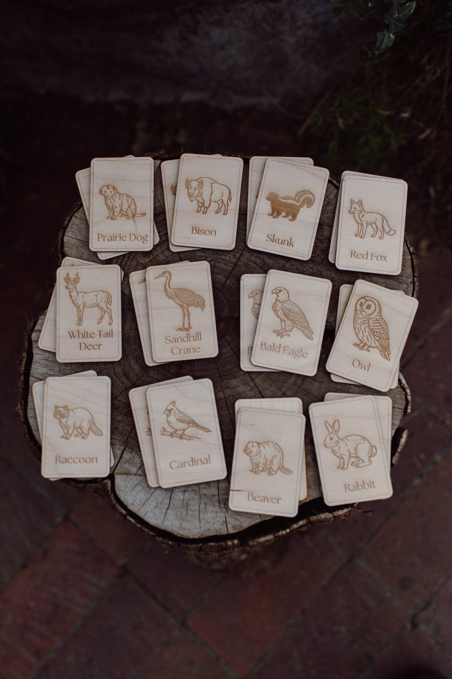 Midwest Wildlife Matching Game Card Set (24 Pieces) — photo 1
