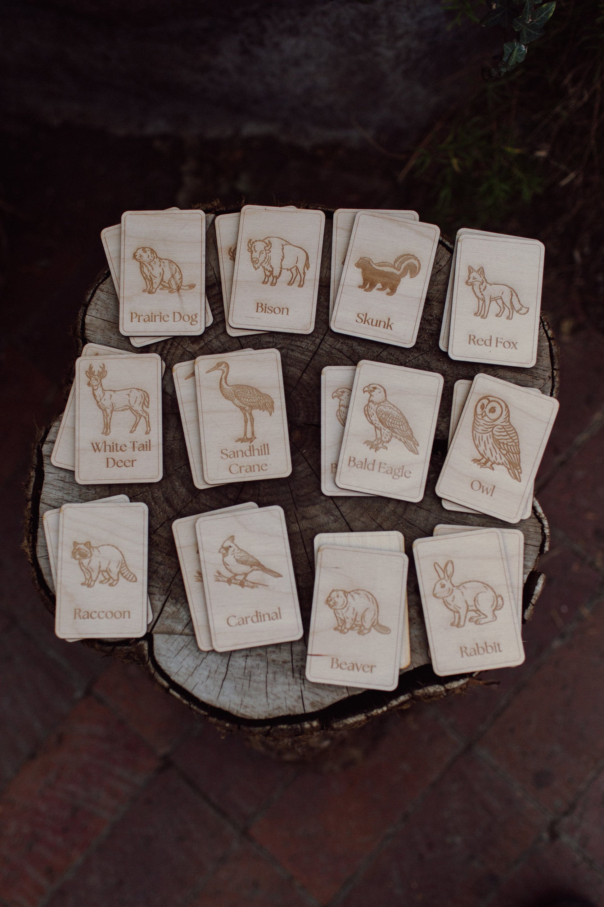 Midwest Wildlife Matching Game Card Set (24 Pieces) — photo 1