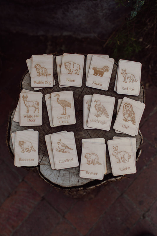 Midwest Wildlife Matching Game Card Set (24 Pieces) — photo 1