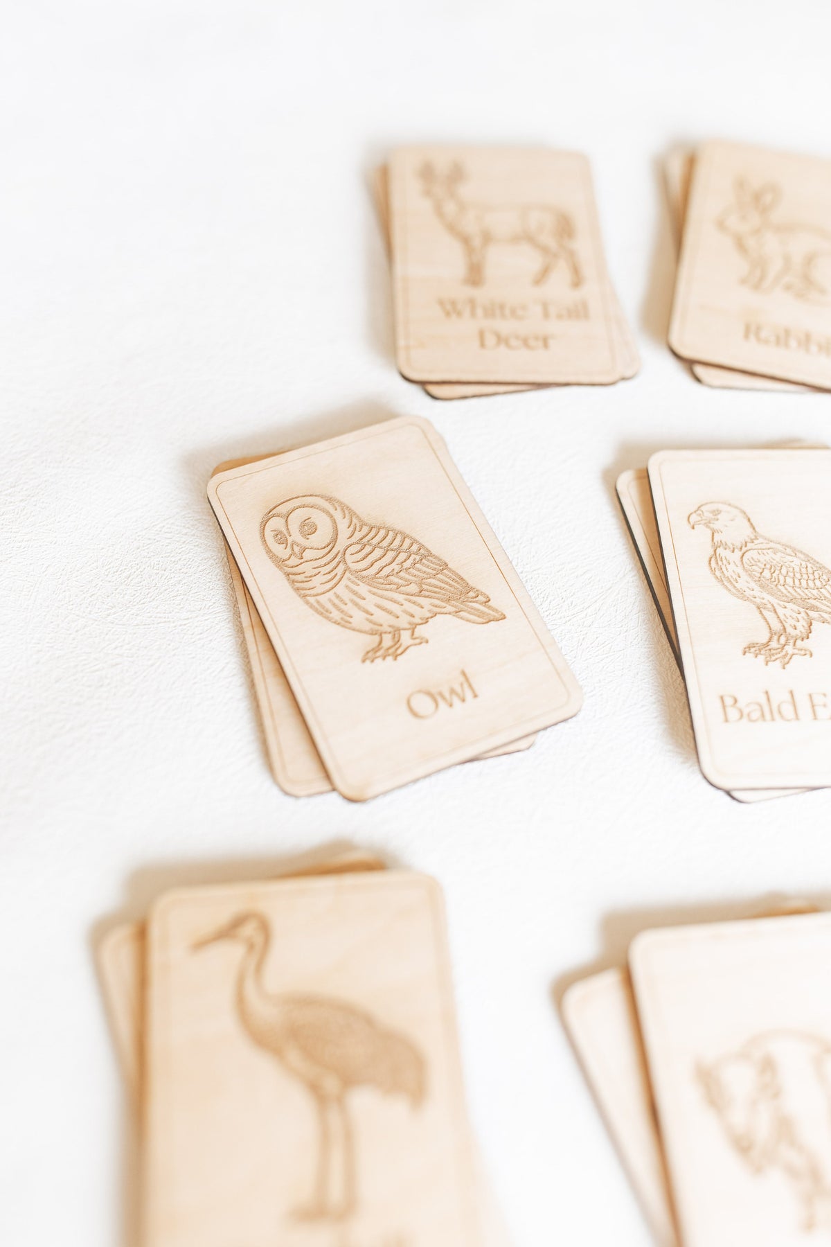 Midwest Wildlife Matching Game Card Set (24 Pieces) — photo 10