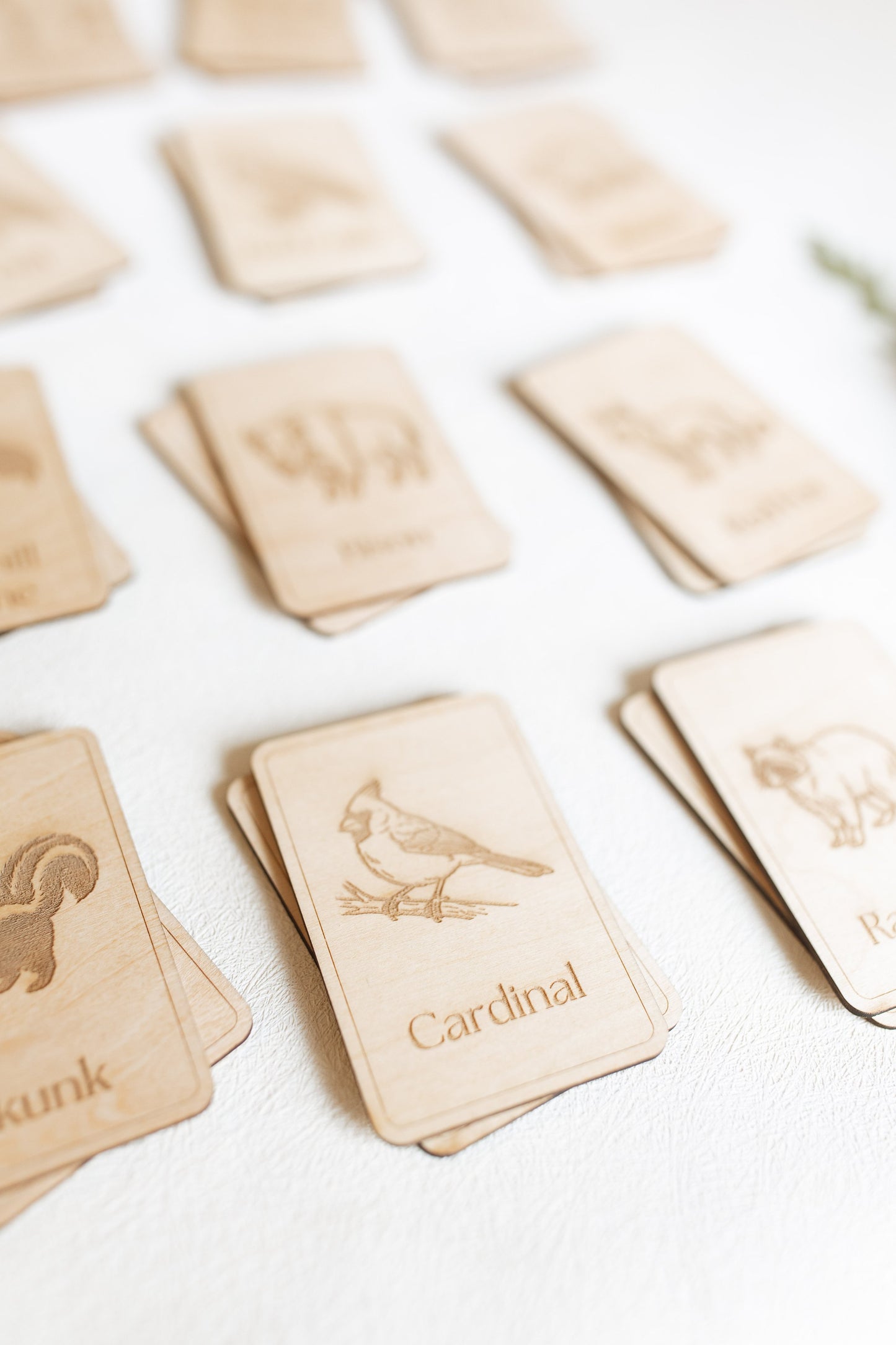 Midwest Wildlife Matching Game Card Set (24 Pieces) — photo 11