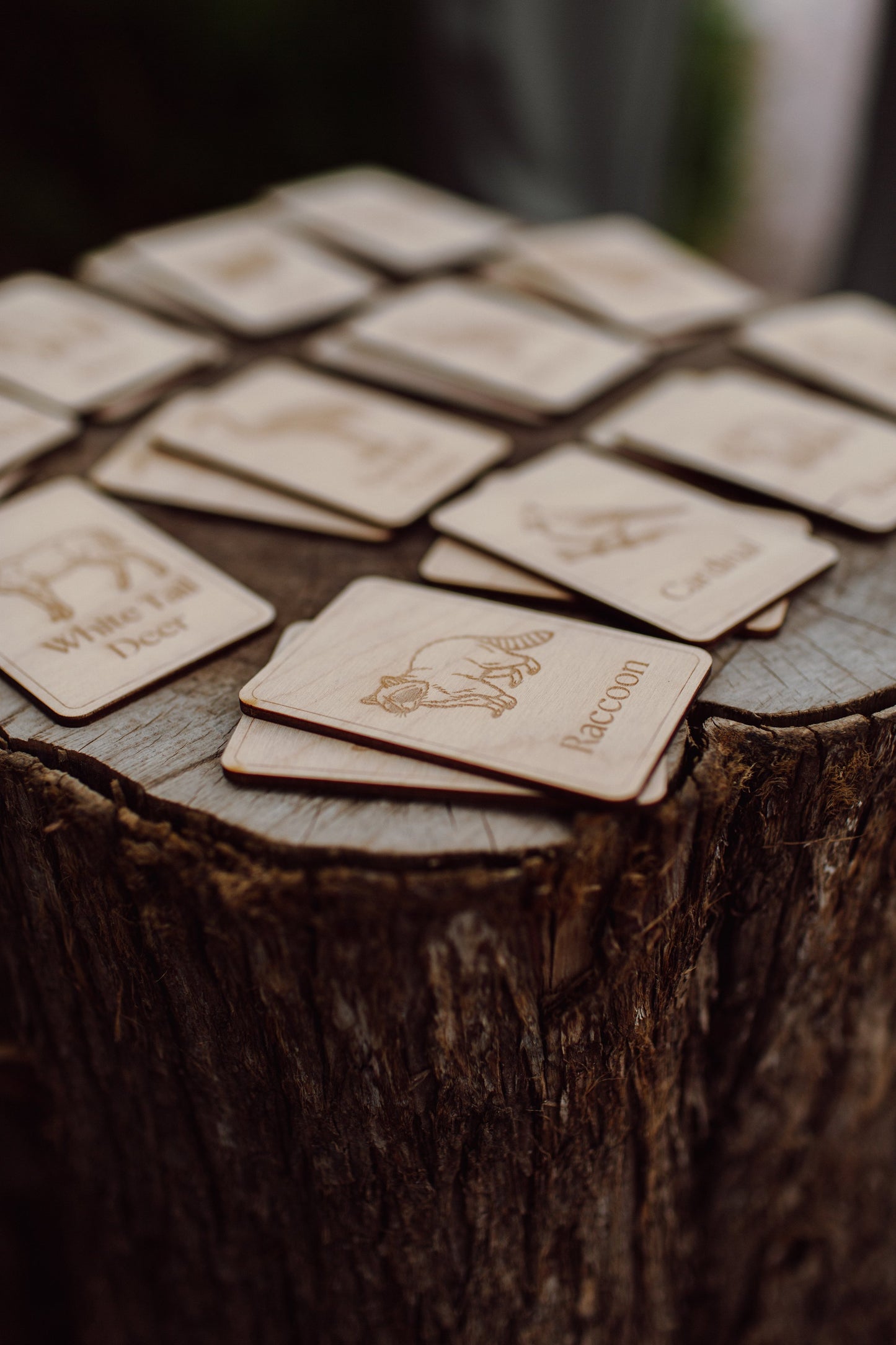 Midwest Wildlife Matching Game Card Set (24 Pieces) — photo 3