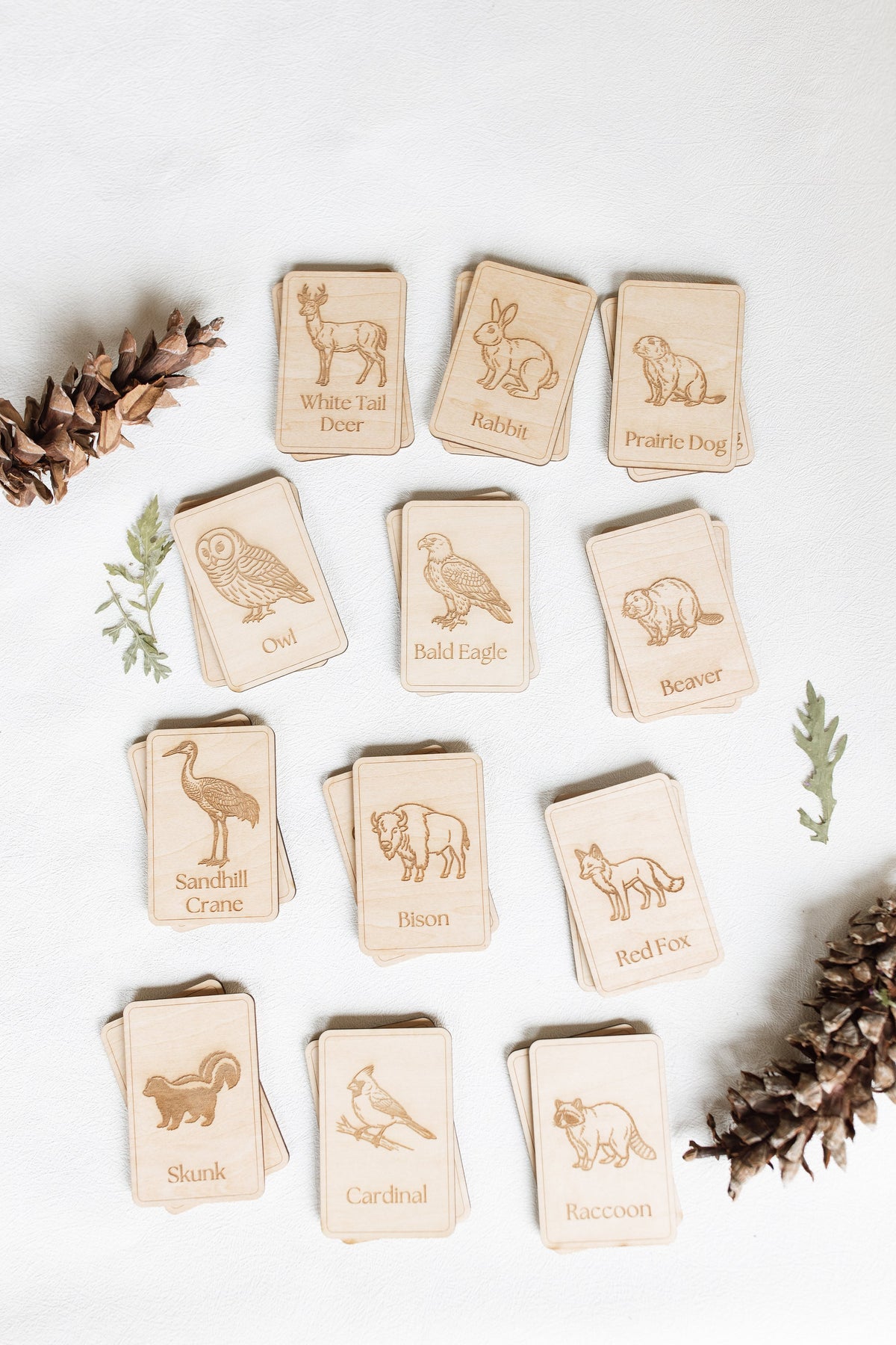 Midwest Wildlife Matching Game Card Set (24 Pieces) — photo 5