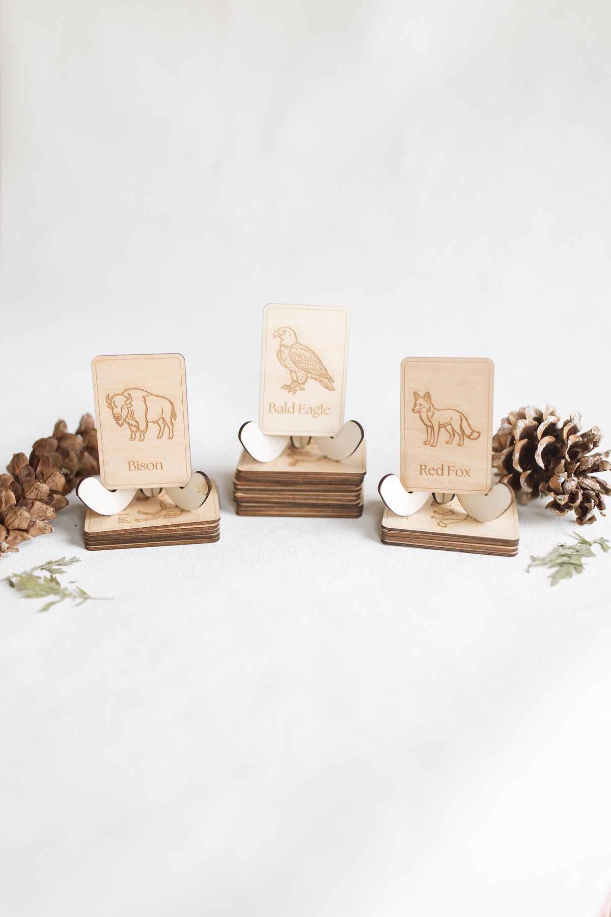 Midwest Wildlife Matching Game Card Set (24 Pieces) — photo 6