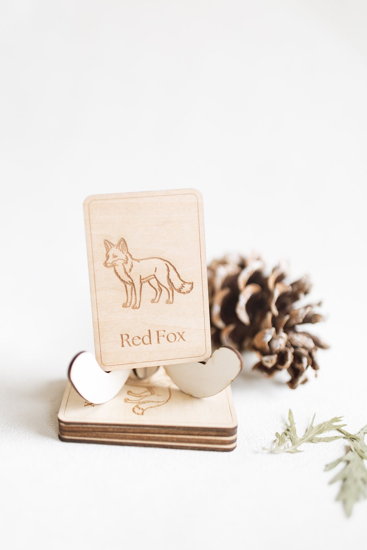 Midwest Wildlife Matching Game Card Set (24 Pieces) — photo 8