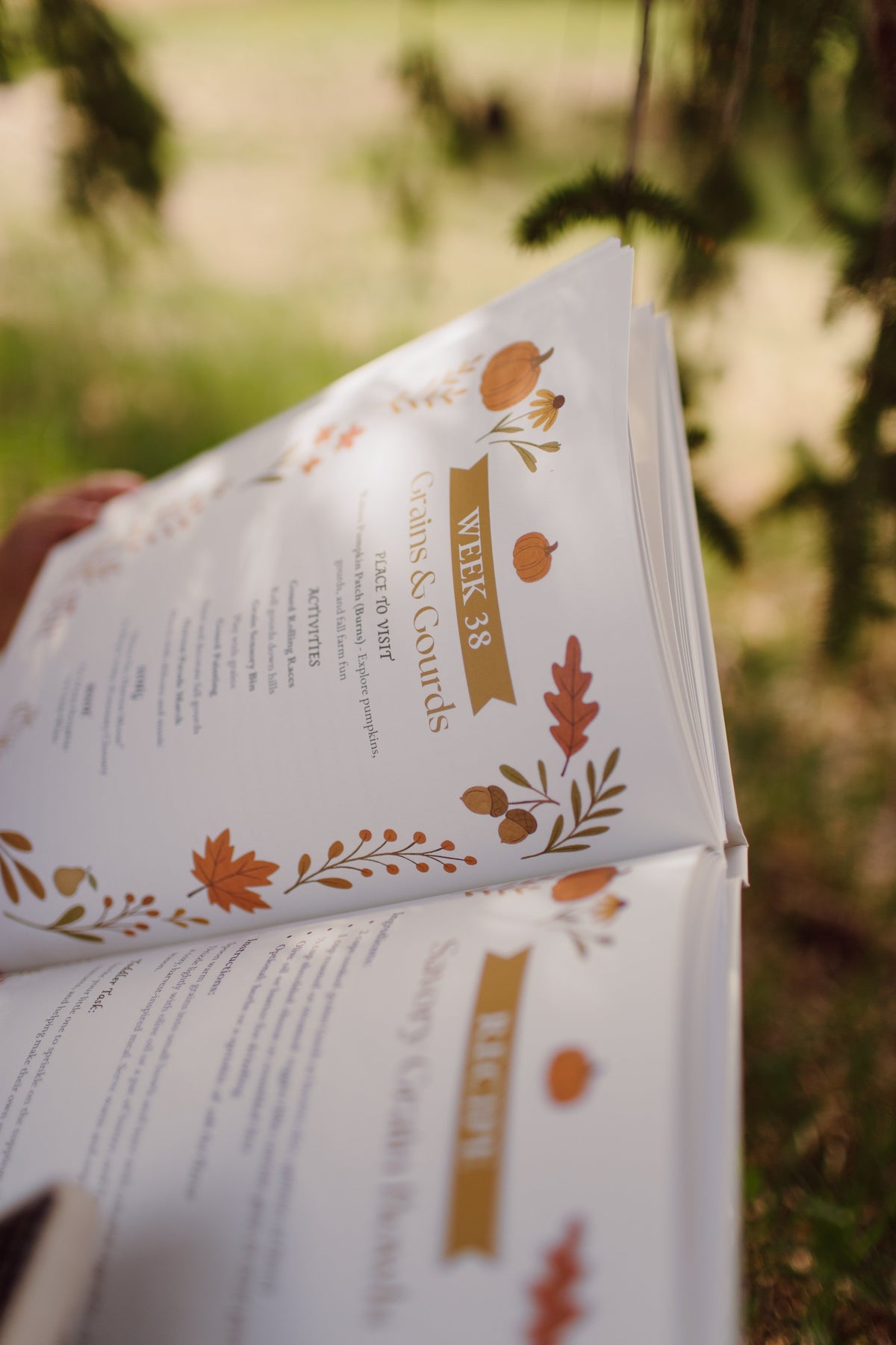 Wilder Seasons: Wichita Family Edition Digital Download — photo 10