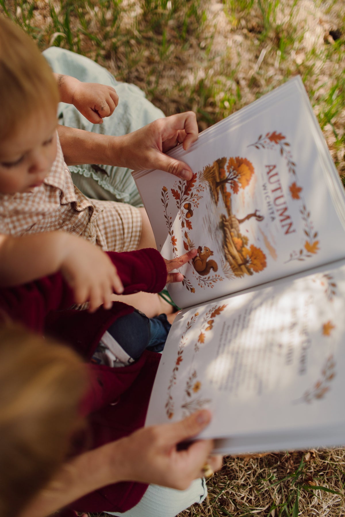 Wilder Seasons: Wichita Family Edition Digital Download — photo 8