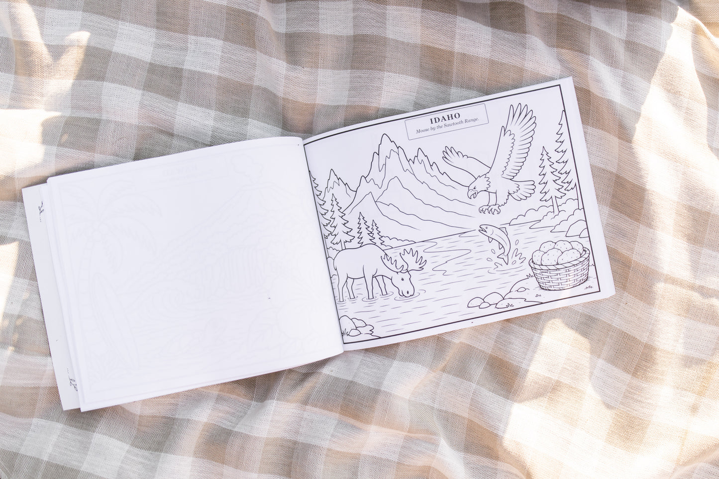 USA Edition Coloring Book