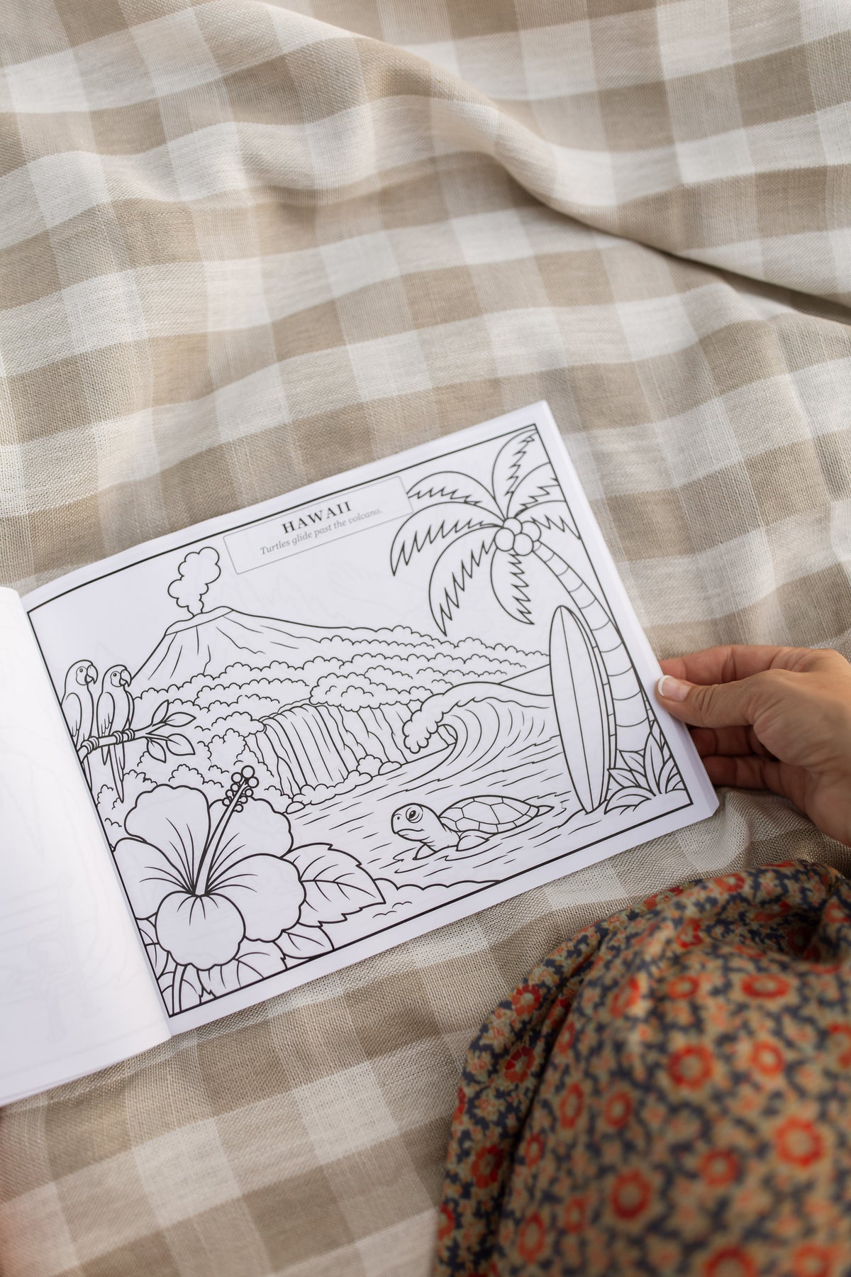 USA Edition Coloring Book