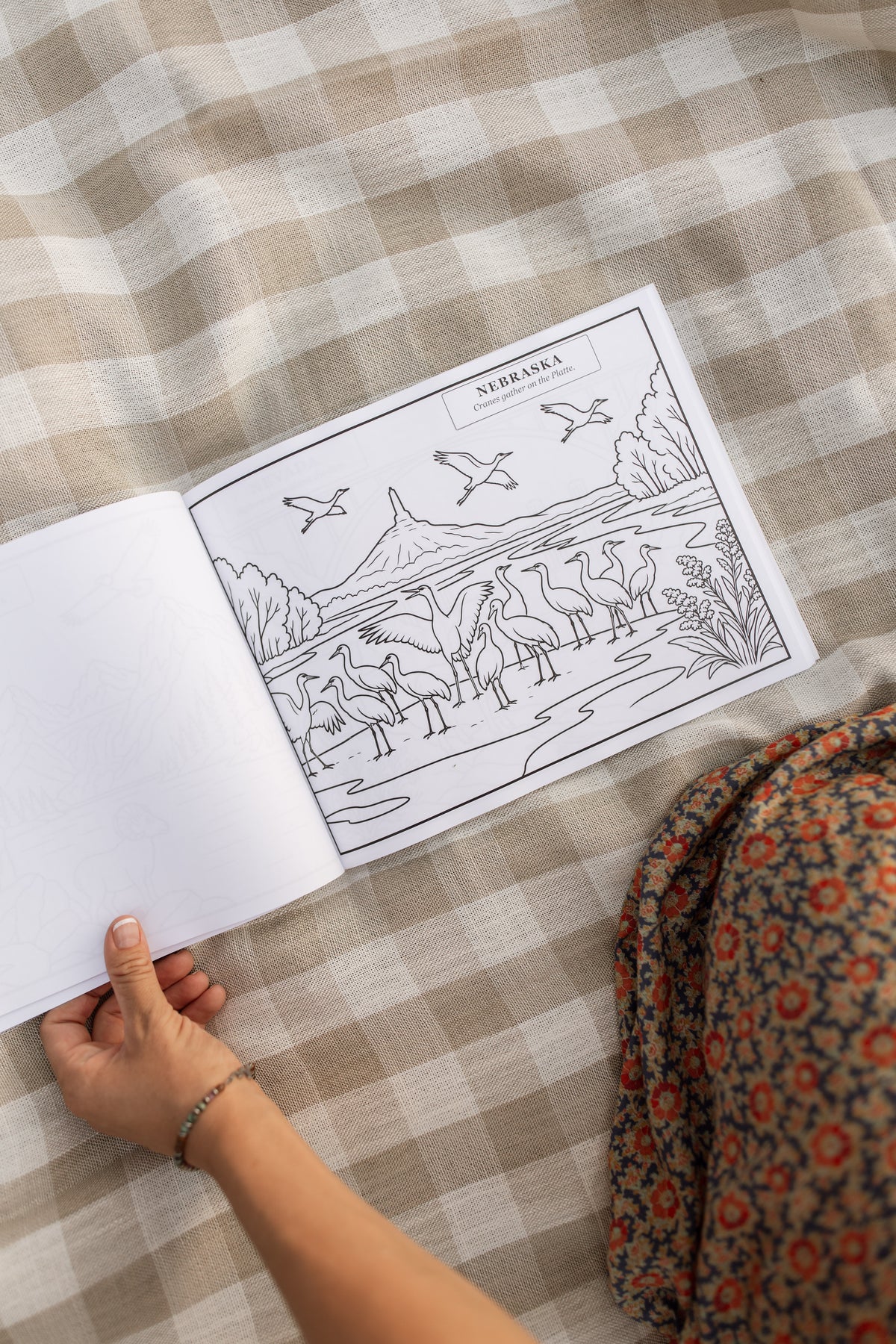 USA Book & Coloring Book Bundle