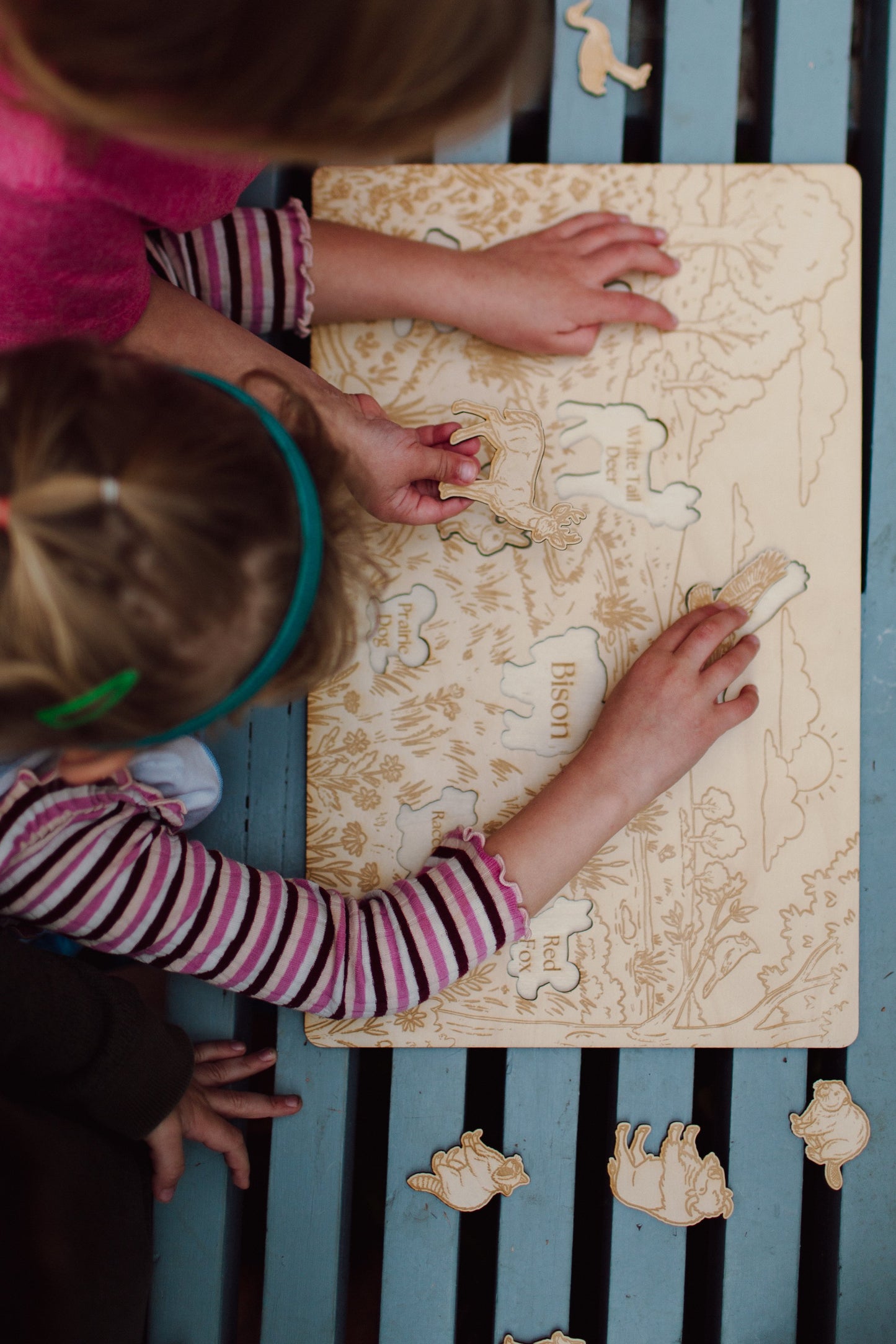 Wooden Prairie Scene Puzzle — photo 3