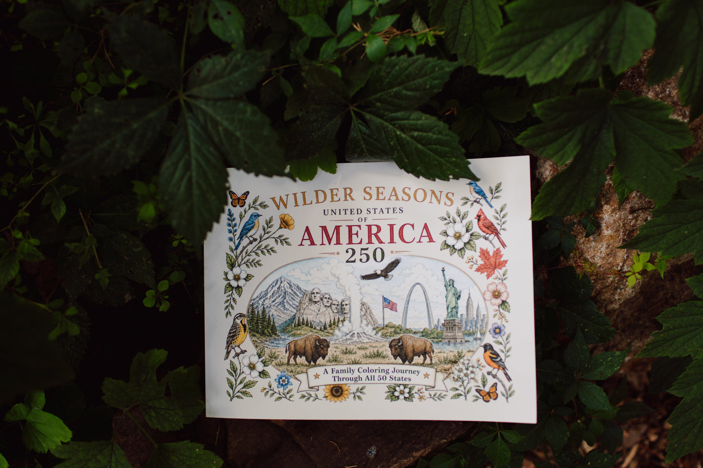 Wilder Seasons USA Coloring Book created for America’s 250th anniversary among green leaves
